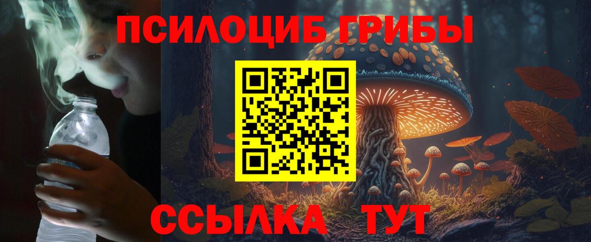 Псилоцибиновые грибы Cubensis  Галлюциногенные грибы GOLDEN TEACHER  магазин продажи   Октябрьский  Вход с VPN 